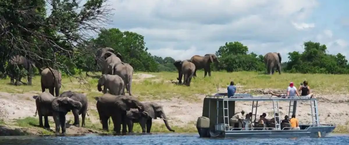 Airlink Airlines Kasane Office in Botswana