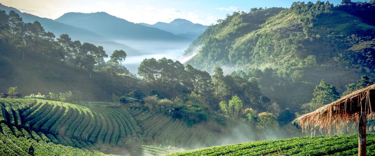 China Eastern Airlines Chiang Mai Office in Thailand