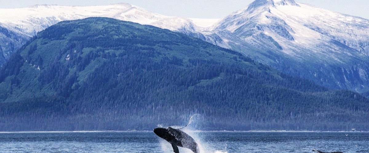 Alaska Airlines Juneau Office in Alaska