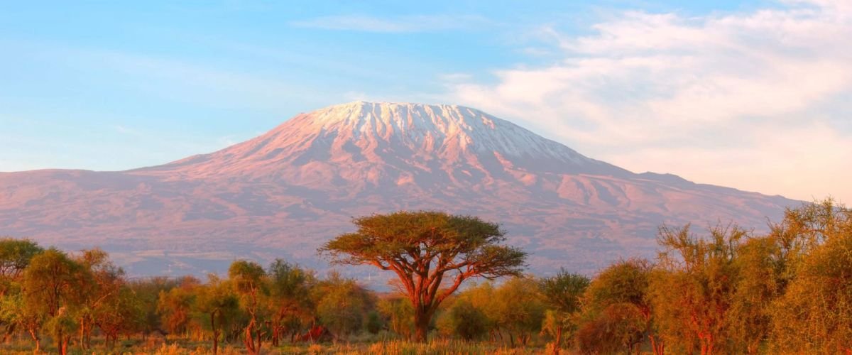 Precision Air Kilimanjaro Office in Tanzania