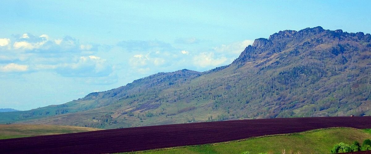 Utair Sovetsky Office in Russia: Address & Flight Info