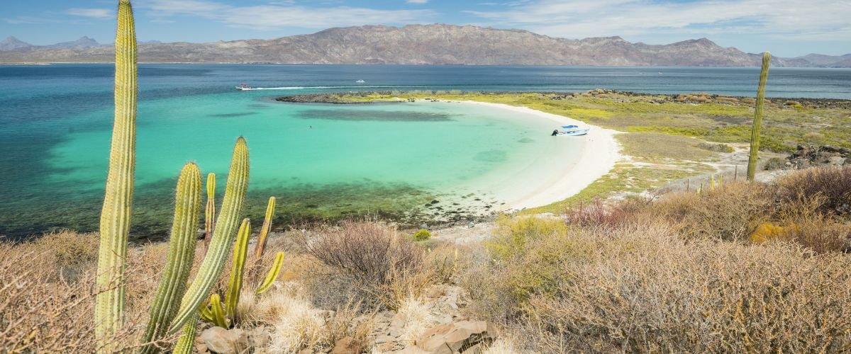 Calafia Airlines Loreto Office in Mexico