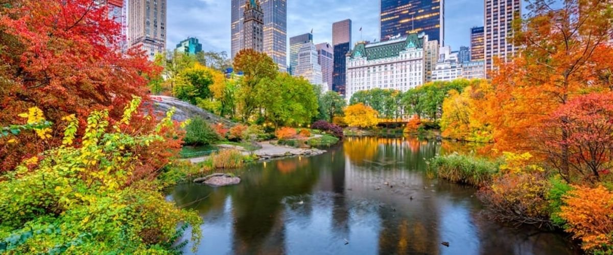 Swiss Air New York Office in USA