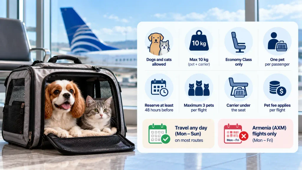 What Is the Copa Airlines Pet Policy?